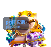 pg网页版 政府公共服务解决方案